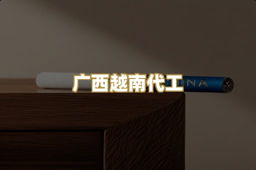 广西越南代工